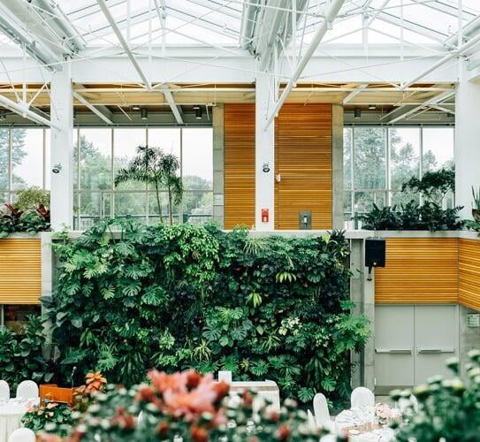 restaurant with a lot of plants